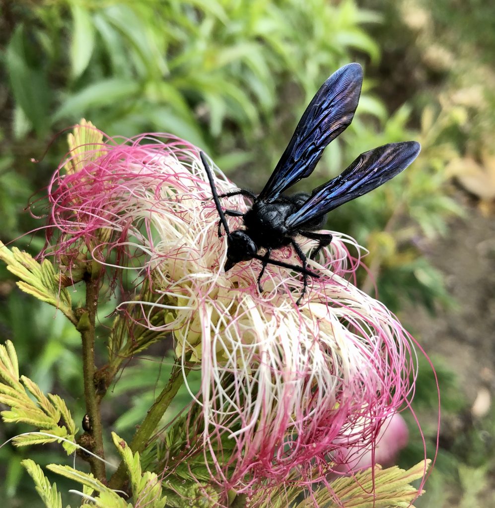 Reserva Natural en Colombia